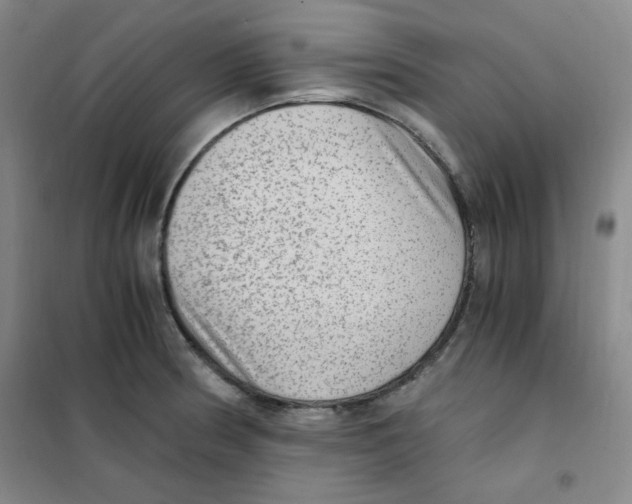 X0000101111186200807241129