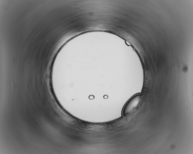 X0000101111187200807241129