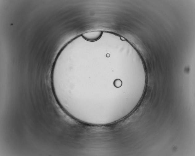 X0000101111189200807241129