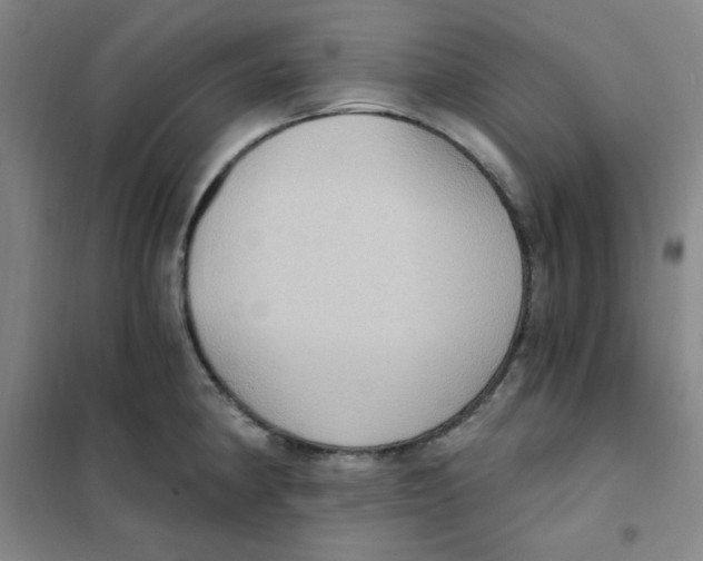 X0000101111190200807241129