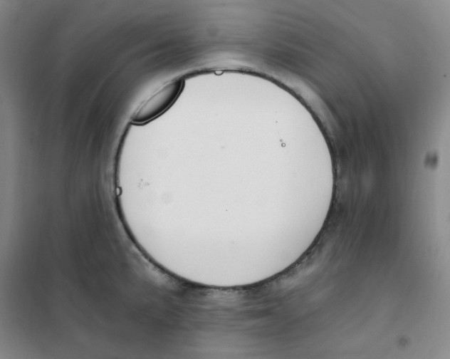 X0000101111191200807241129