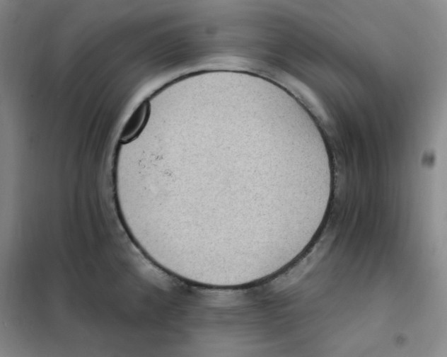 X0000101111192200807241129
