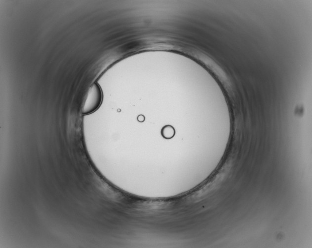 X0000101111193200807241128