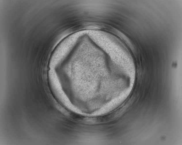 X0000101111194200807241128