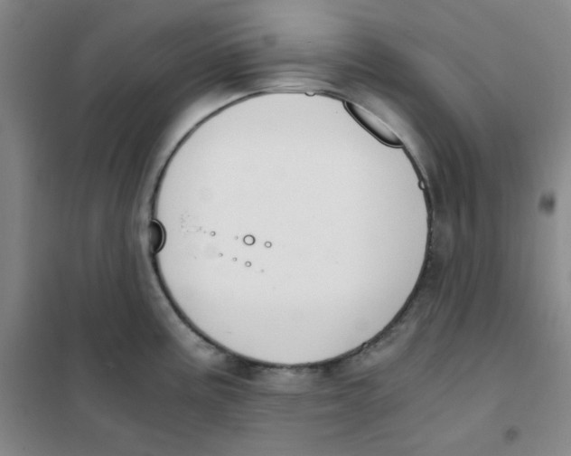X0000101111195200807241128