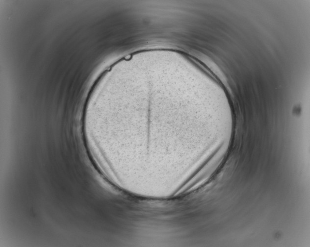 X0000101111197200807241128