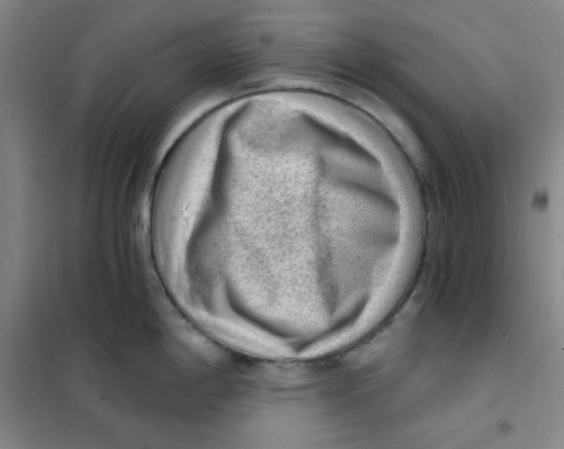X0000101111198200807241128