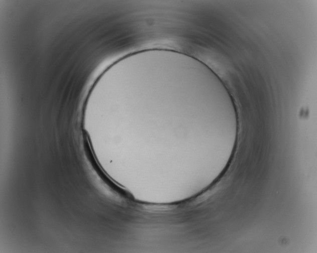 X0000101111200200807241128