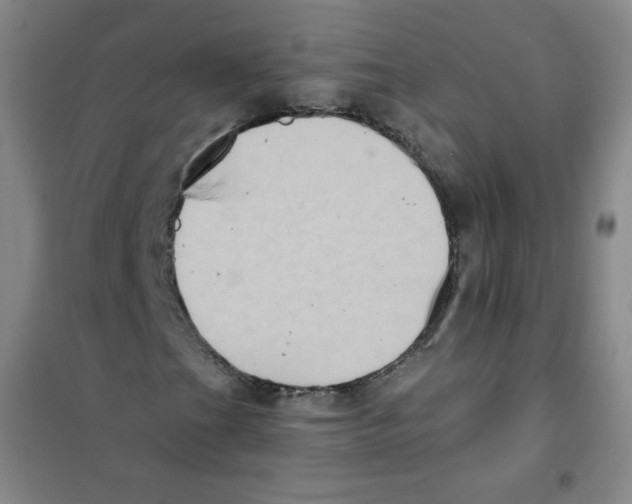 X0000101111201200807241128