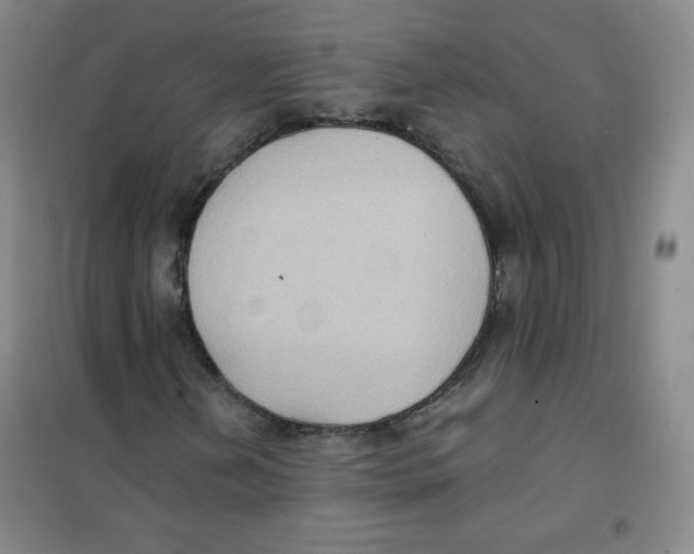X0000101111202200807241128