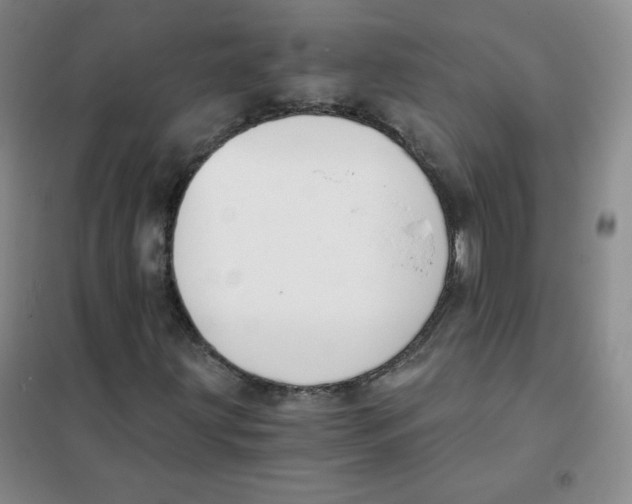 X0000101111203200807241128