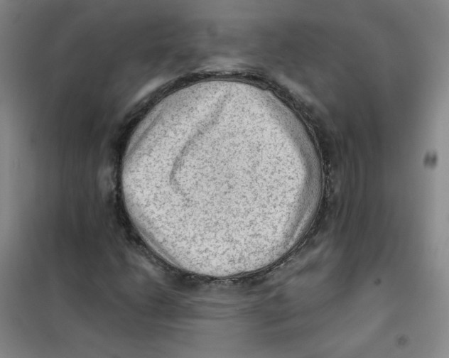 X0000101111206200807241128