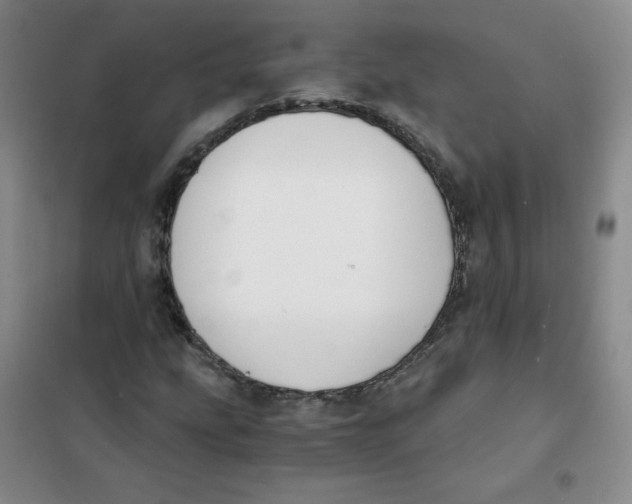 X0000101111207200807241128