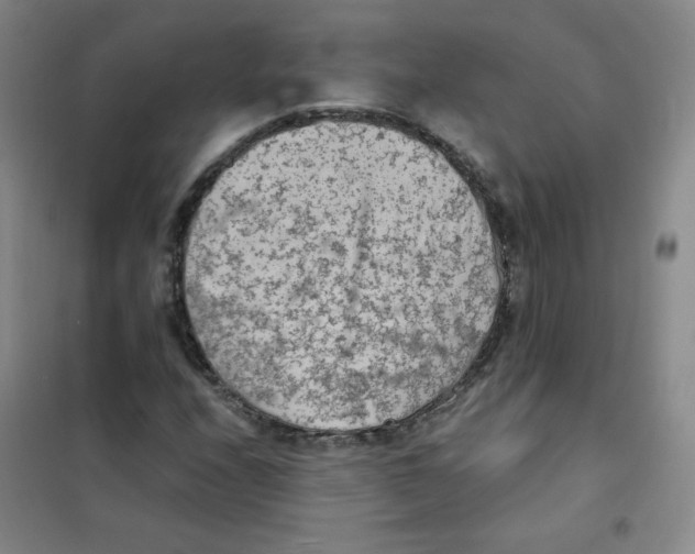 X0000101111208200807241128