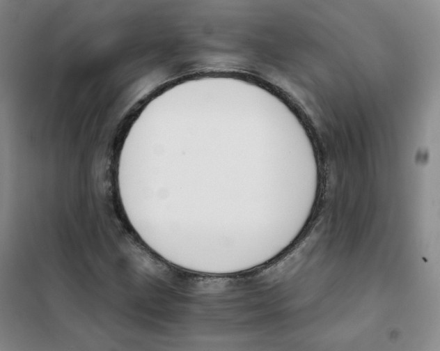 X0000101111211200807241128