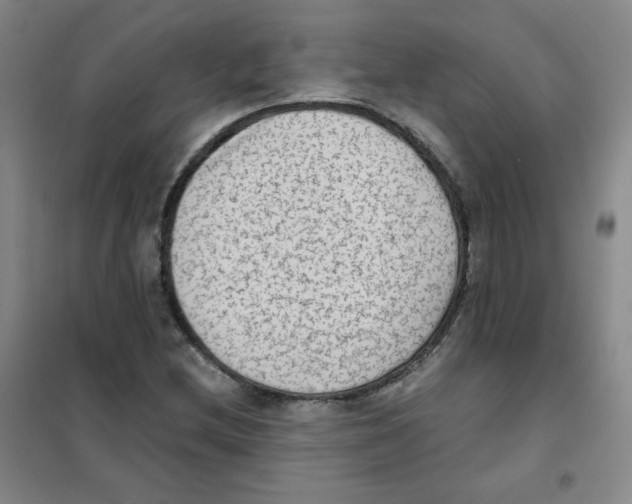 X0000101111212200807241128