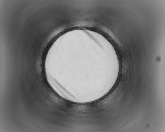 X0000101111213200807241128