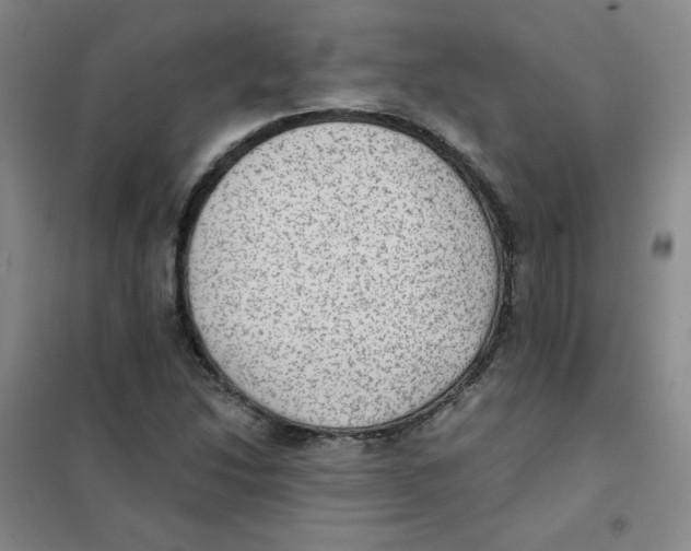 X0000101111214200807241128