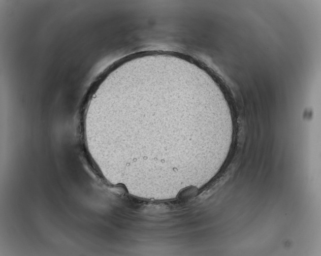 X0000101111215200807241128