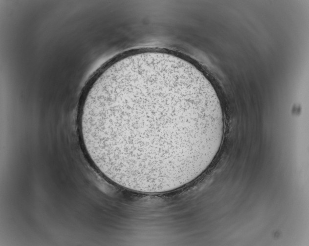 X0000101111216200807241128