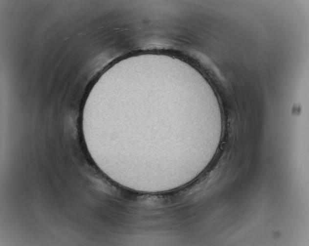X0000101111217200807241128
