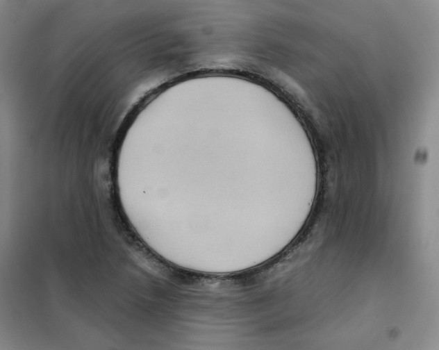 X0000101111218200807241128