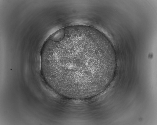 X0000101111219200807241128