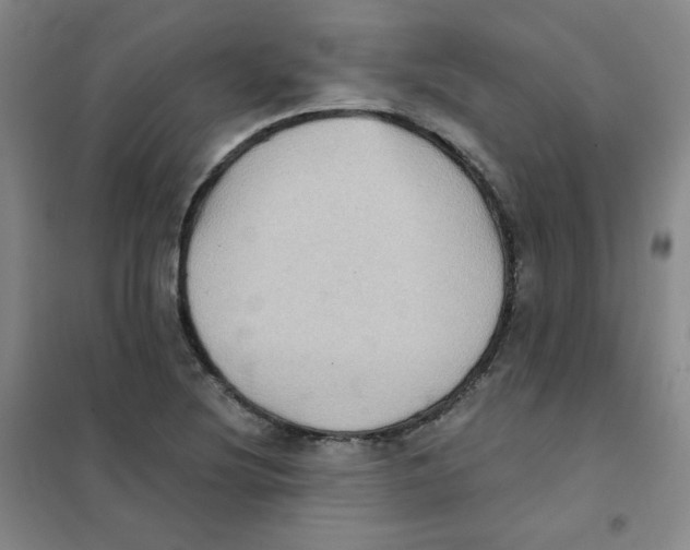 X0000101111220200807241128