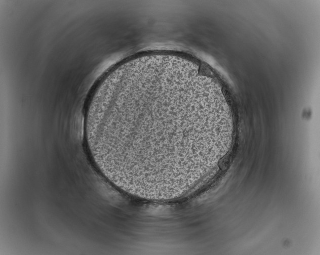 X0000101111221200807241128