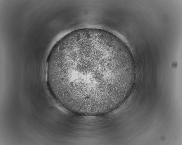 X0000101111223200807241128