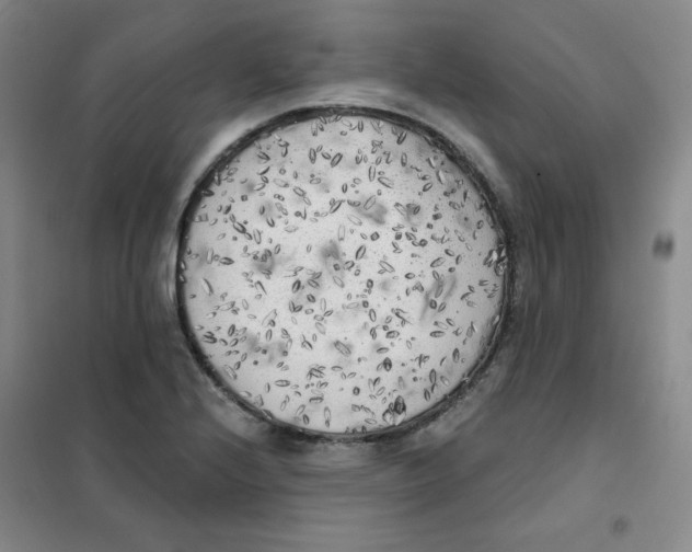 X0000101111224200807241128