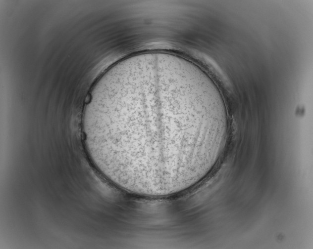 X0000101111225200807241128