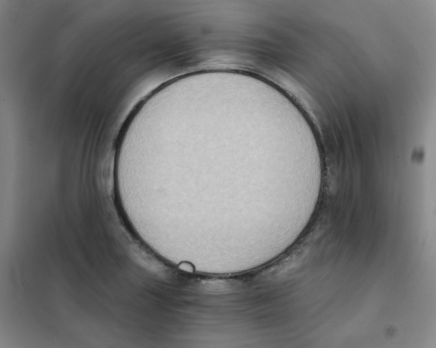 X0000101111227200807241128