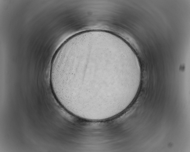 X0000101111228200807241128