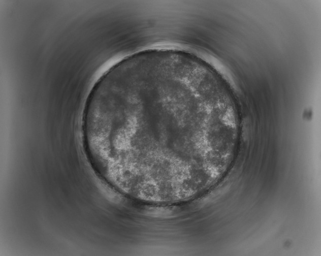 X0000101111229200807241128