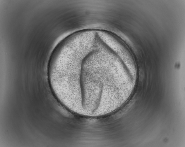 X0000101111230200807241128