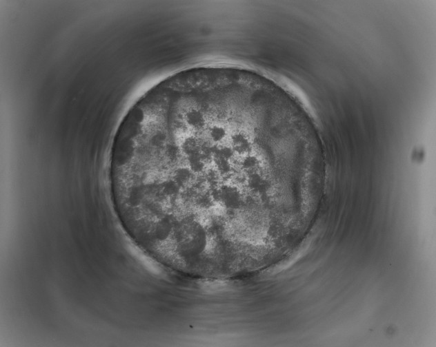 X0000101111231200807241128