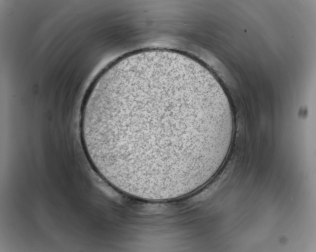 X0000101111232200807241128