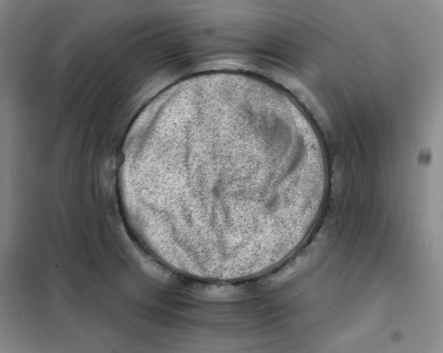 X0000101111233200807241128