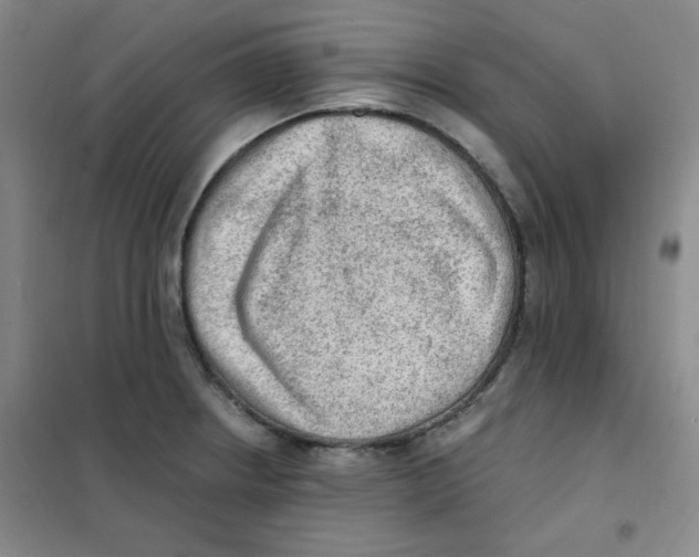 X0000101111234200807241128