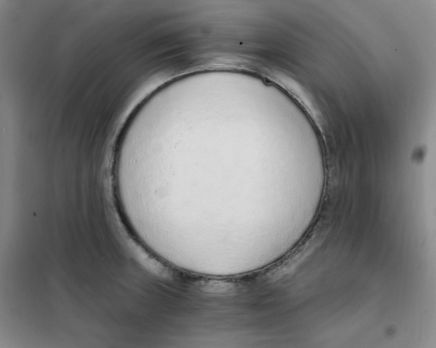 X0000101111235200807241128