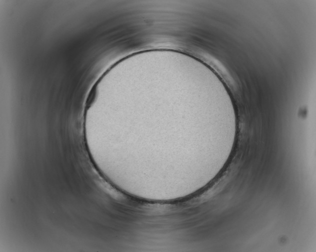 X0000101111236200807241128