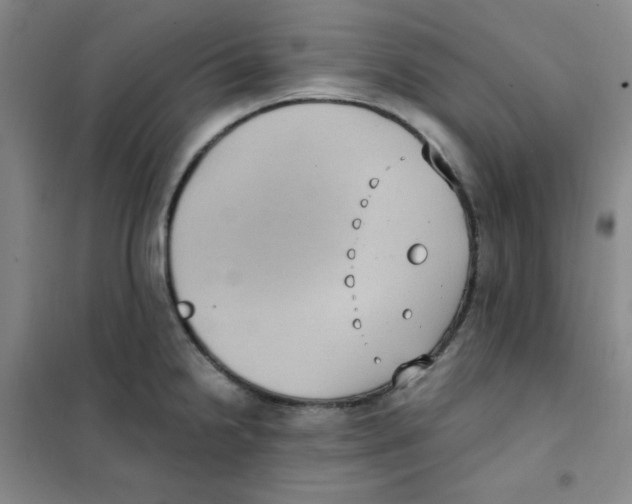 X0000101111238200807241128