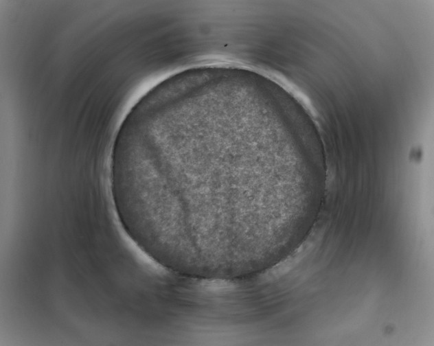 X0000101111239200807241128
