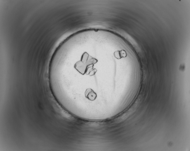 X0000101111240200807241128