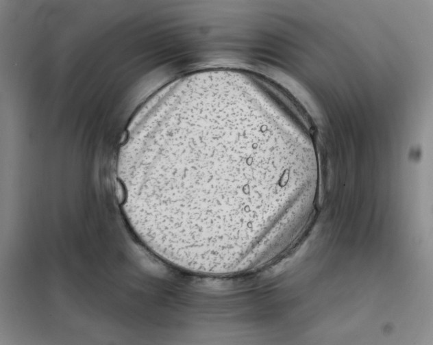 X0000101111241200807241128