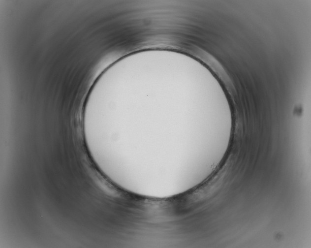 X0000101111242200807241128