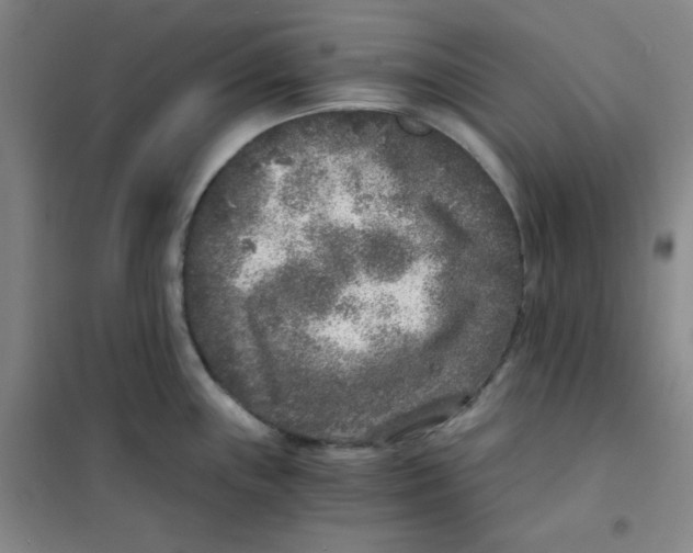 X0000101111243200807241128