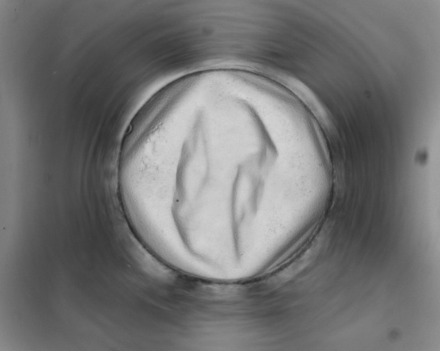 X0000101111244200807241128