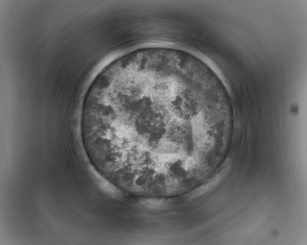 X0000101111245200807241128